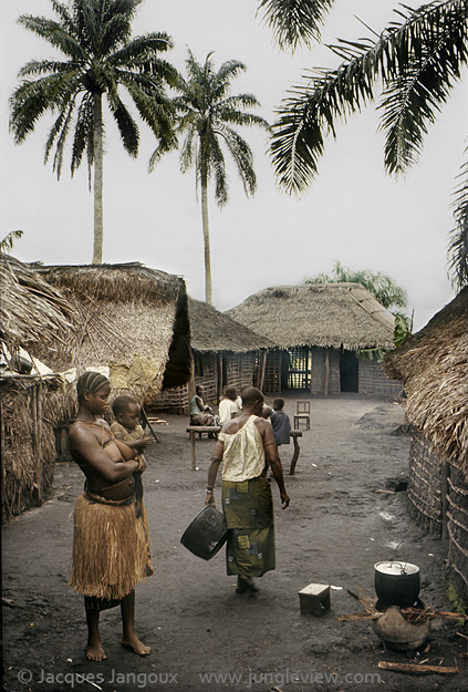 Africa, Democratic Republic of the Congo, Ngiri River area, Libinza tribe.