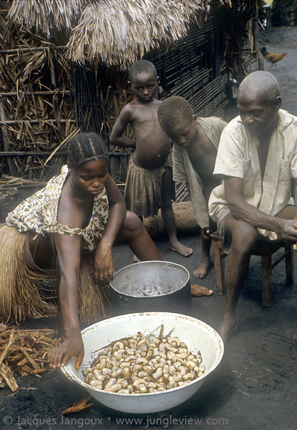 Africa, Libinza tribe, Ngiri River islands, Democratic Republic of the Congo.