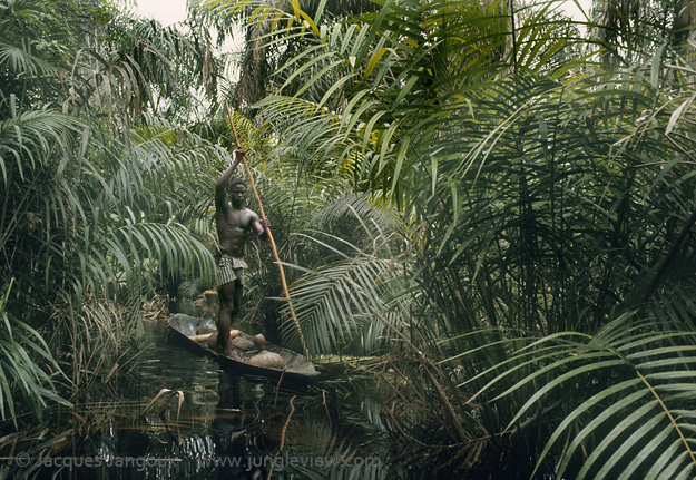 Africa, Libinza tribe, Ngiri River islands, Democratic Republic of the Congo. Man propelling canoe with pole in palm swamp forest.