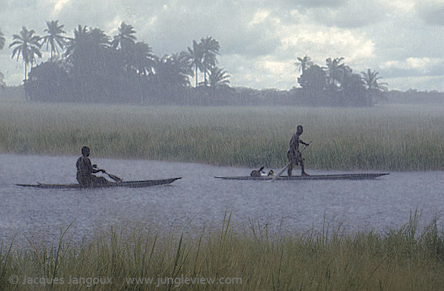 Africa, Libinza tribe, Ngiri River islands, Democratic Republic of the Congo.