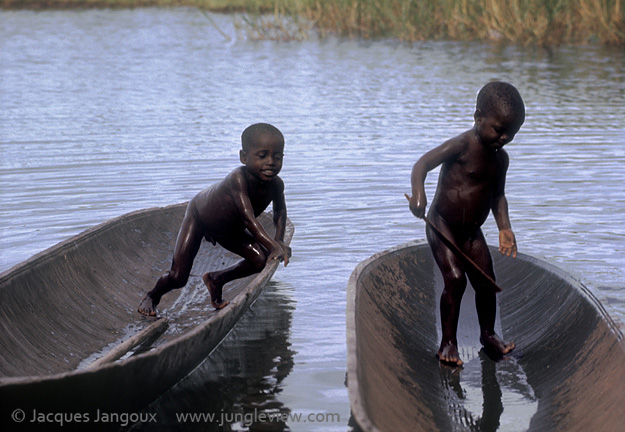 Boys of Libinza tribe playing in canoes. The Libinza live on the islands of the Ngiri River, tributary of the Ubangi River, Democratic Republic of the Congo, Africa.