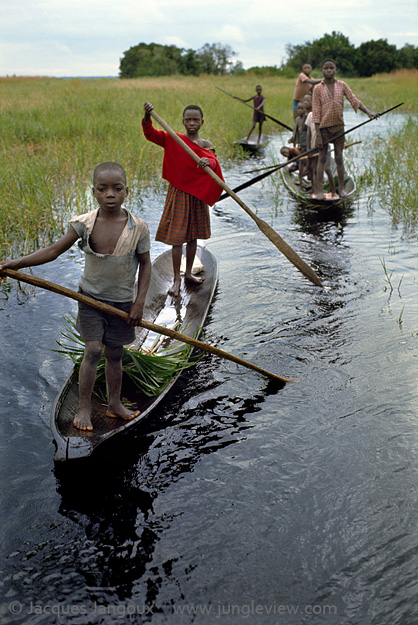 Children of Libinza tribe going to school by canoe, Ngiri river region, Democratic Republic of the Congo (ex-Zaire), Africa.
