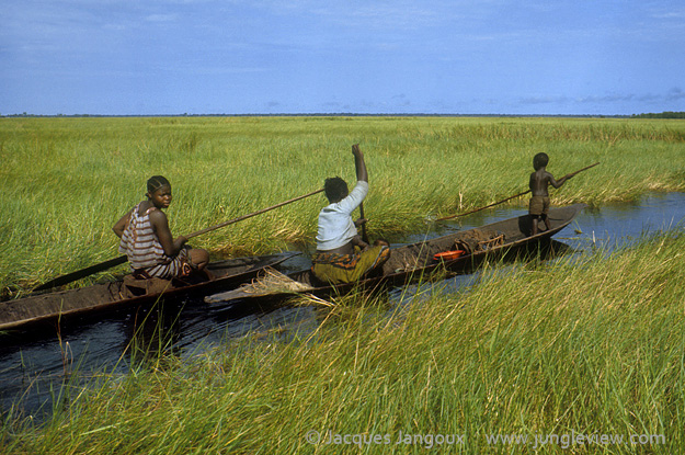 Africa, Democratic Republic of the Congo, Ngiri River area, Libinza tribe. Women in canoe in swamp savanna, going to swamp forest to fish and collect drinking water.