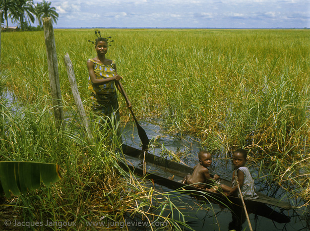 Africa, Democratic Republic of the Congo, Ngiri River area, Libinza tribe. Woman with children in canoe in swamp savanna, going to swamp forest to fish and collect drinking water.