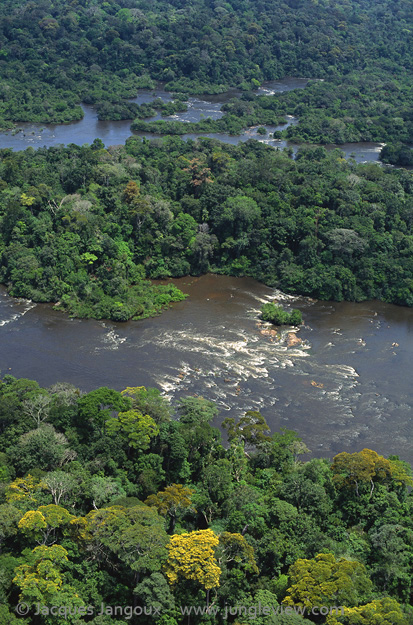 Aerial view of Jari River, northern tributary of the Amazon, coming down from Guyana Highlands showing rapids and lush rainforest.