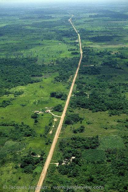 Deforestation: aerial of road going through former rainforest cleared for agriculture and cattle raising, Amazon rainforest, Para State, Brazil
